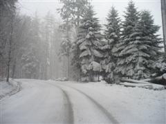 Wanderweg mit Schnee